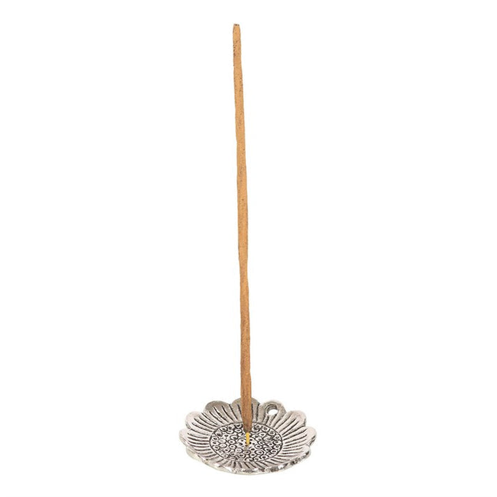 Set of 40 Carrot Cake Incense Stick gift set