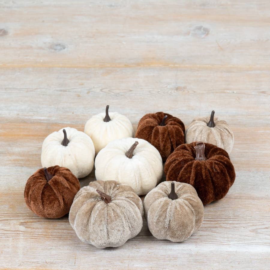 Brown & White Pumpkins Mesh Bag