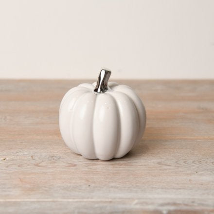 White Pumpkin With Silver Stalk